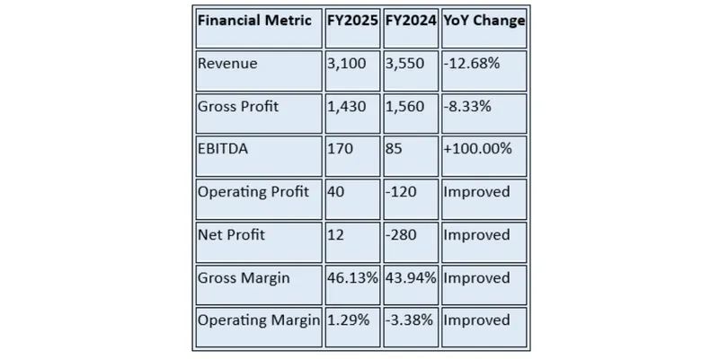 Financial Summary Table